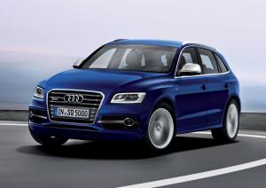 Audi SQ5 TDI 2013 года  (WW)